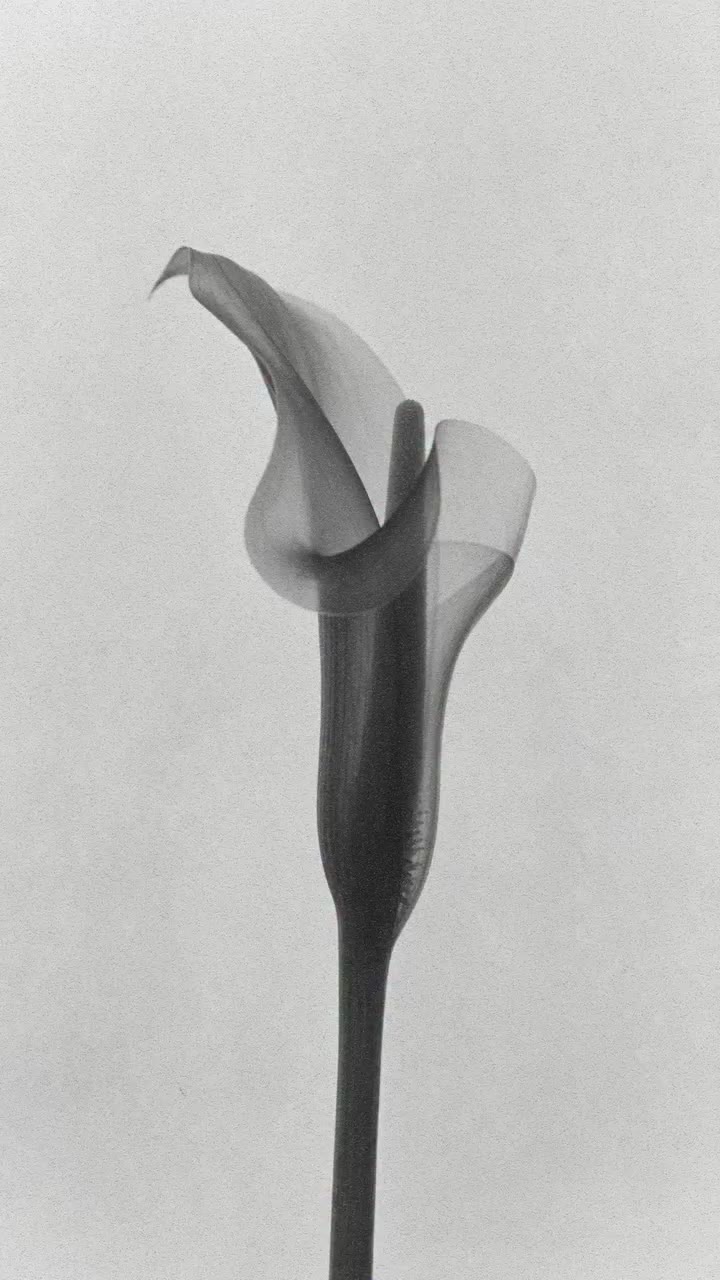 The courage to reveal the sensuality beneath the surface. #PatriziaPepe