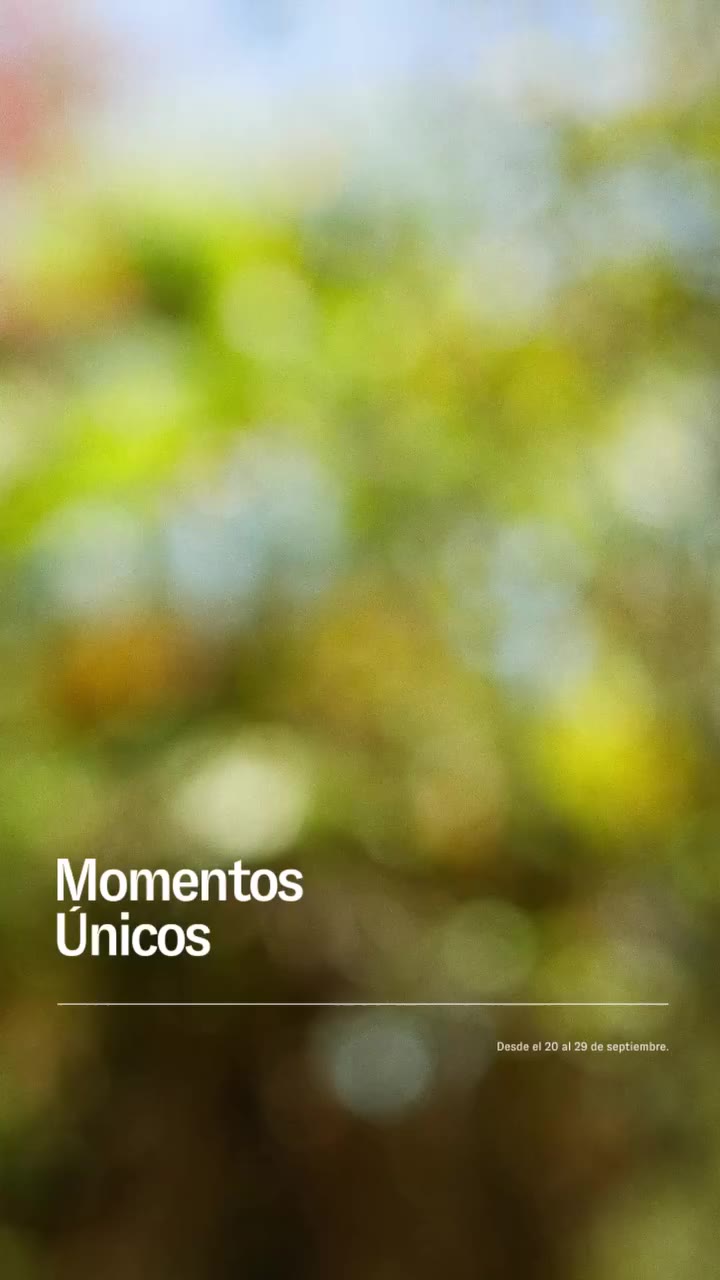 Más de una forma de expresar tu estilo. Diseño, tendencia y claridad para…