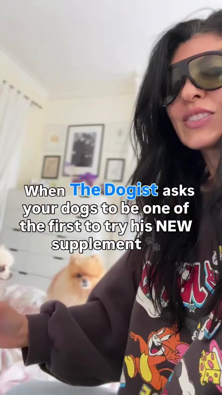 When @thedogist asks your dogs to be one of the first to try his new…