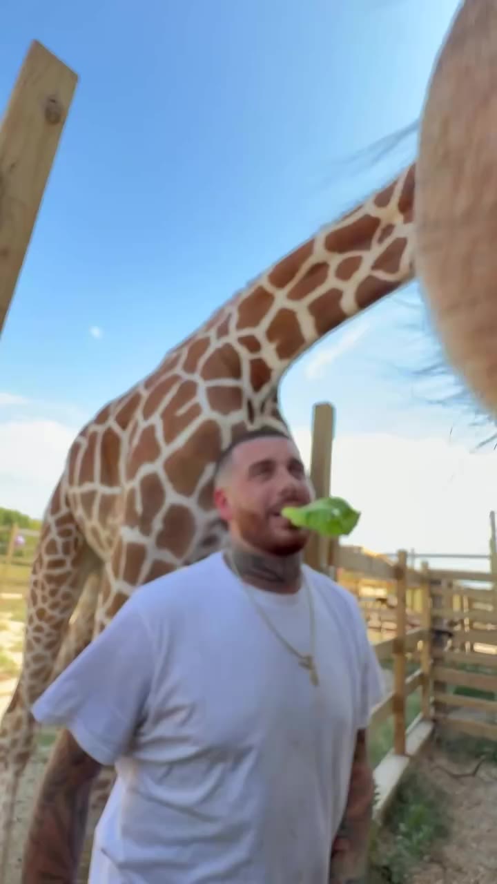 I spent 2 days with Yoshi the Giraffe @safaristayz 🔥 Huge shoutout and thank…