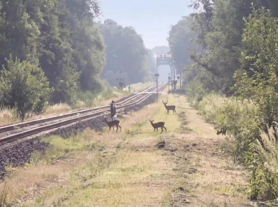 Walking with you