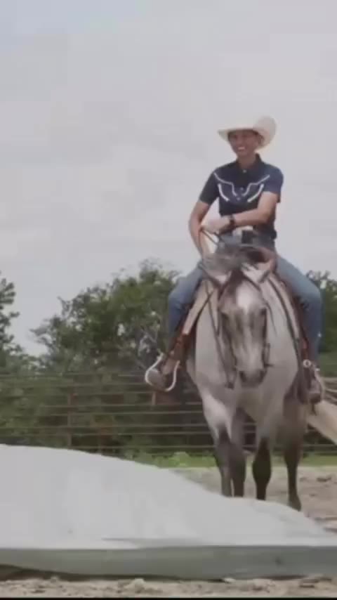 The @fallrounduphorsesale is coming up on October 2-3 and here is a good one…