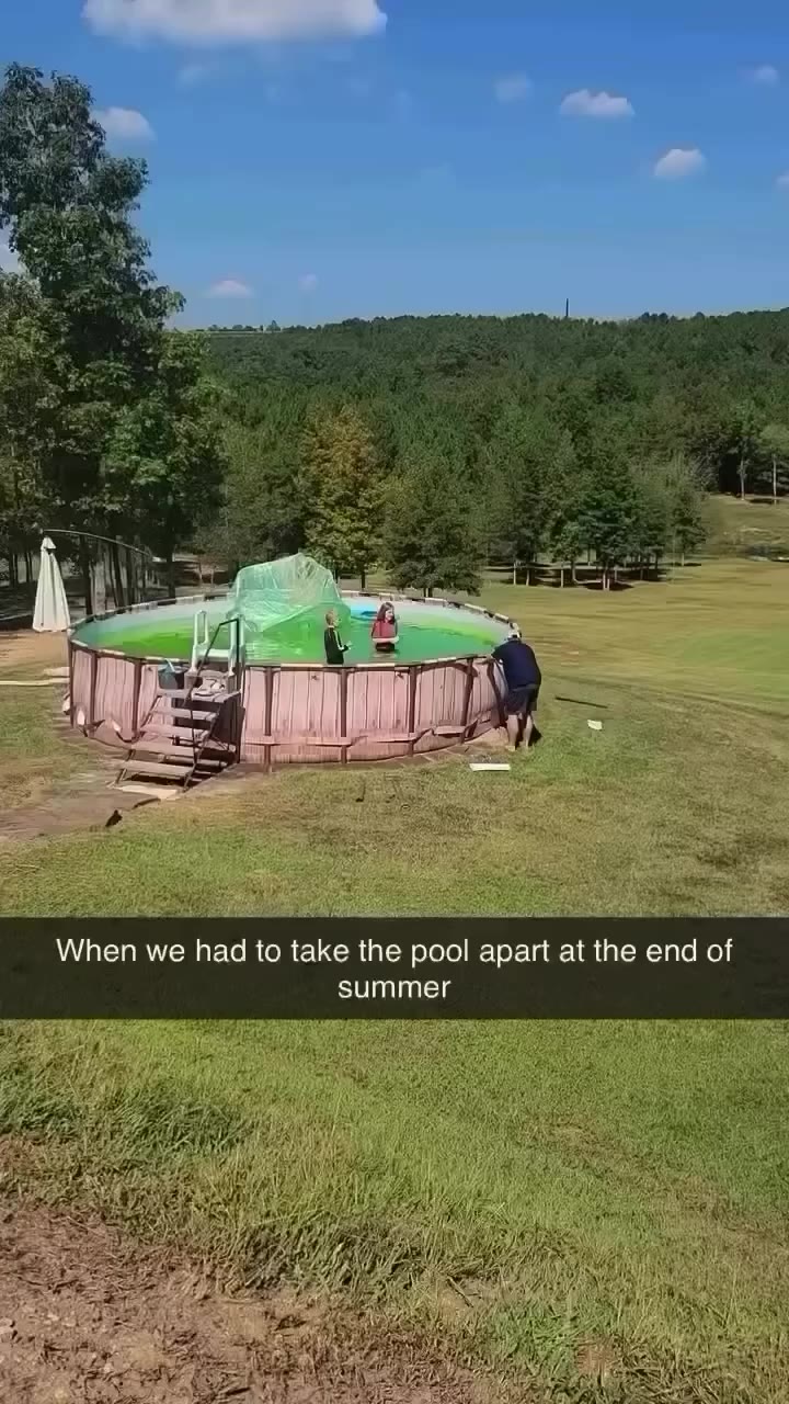 Looks like so much fun 😂