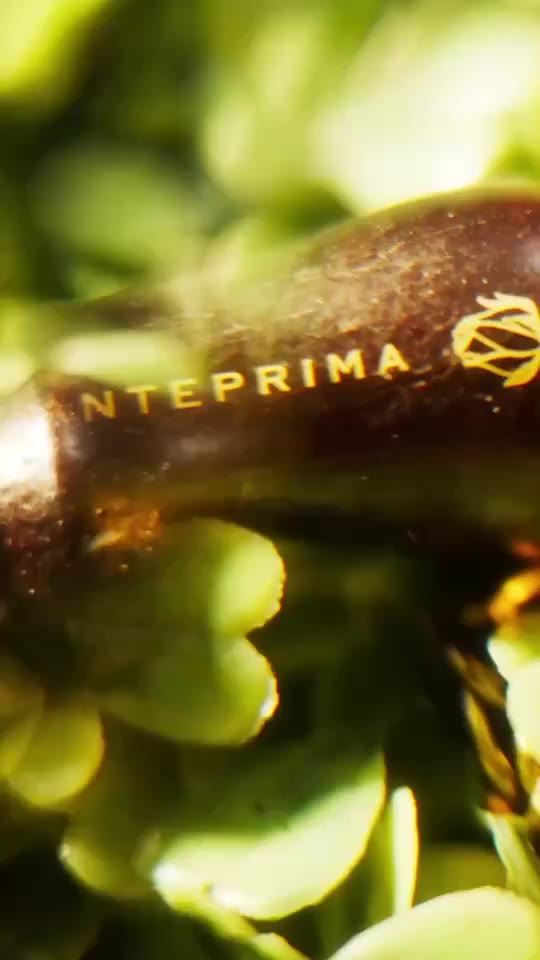 ANTEPRIMA SPRING-SUMMER 2027 COLLECTIONは本日イタリア・ミラノにて発表されます。 「2027…