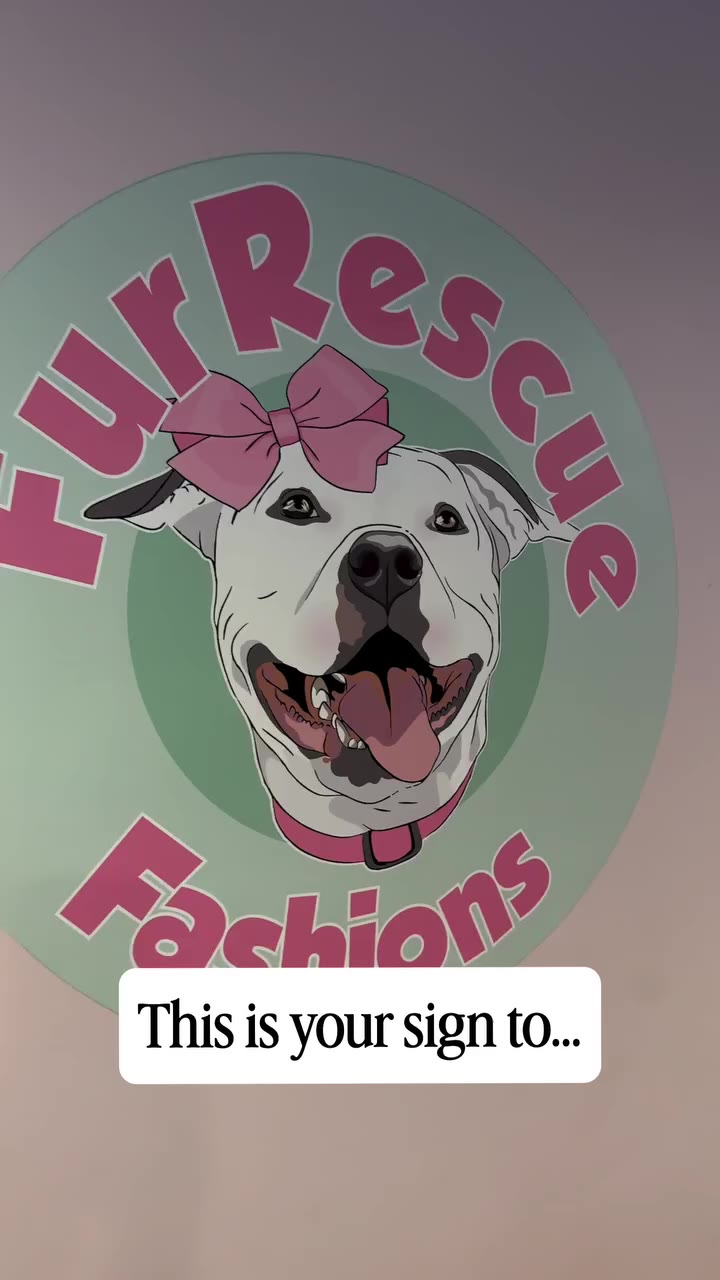 Your sign to treat your dog has arrived. 🐾✨ All in-stock dog clothes are 26%…