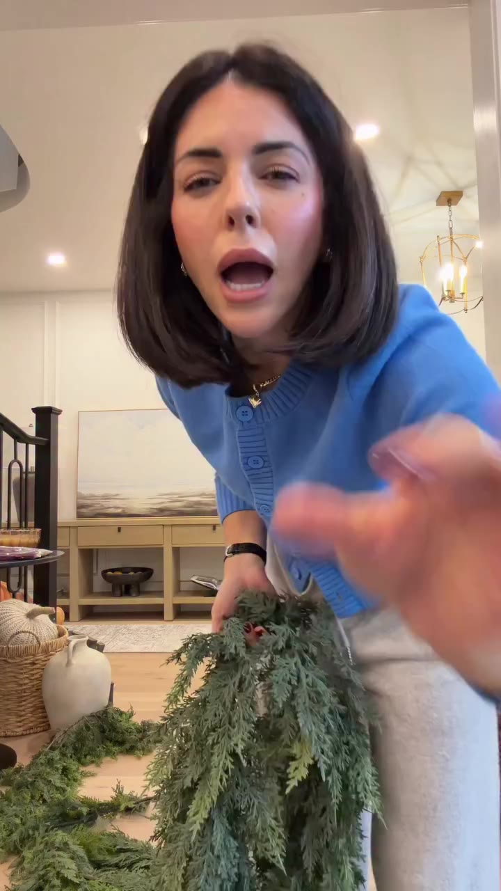 Comment SHOP and I’ll DM you a link to the best garland I have EVER found that…