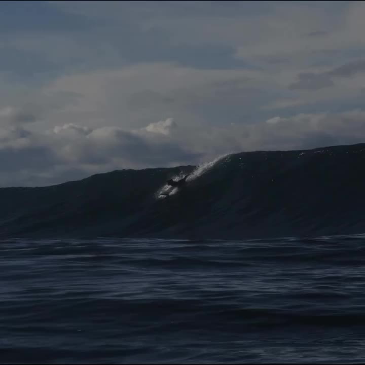 @romboutslachie and @james.kates open ocean collab from a few years ago…