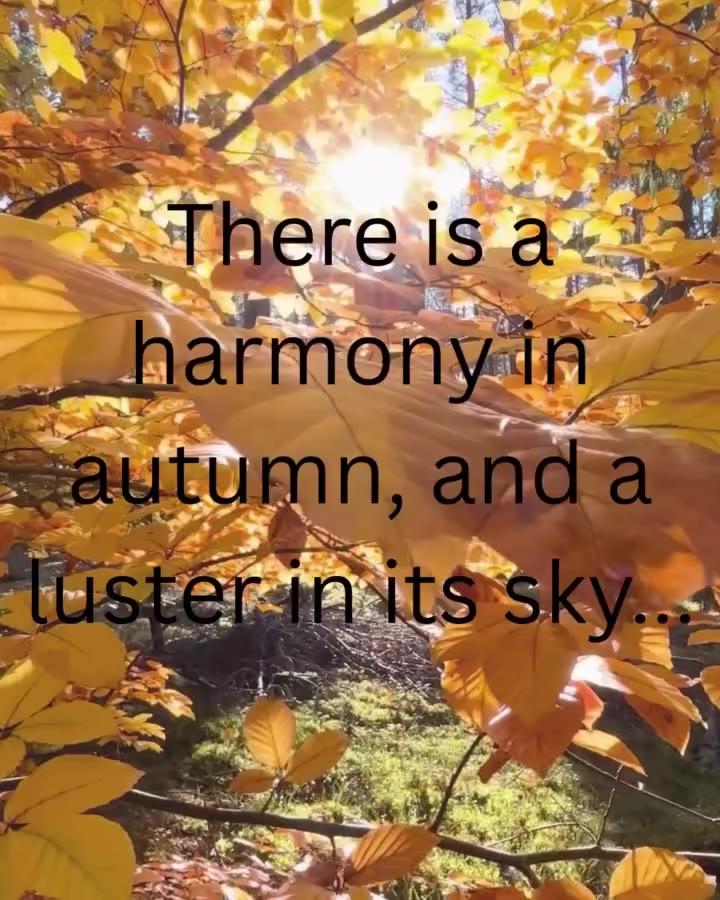 🍂✨ Welcome, Fall. ✨🍂 As the seasons shift, it’s the perfect time to slow…