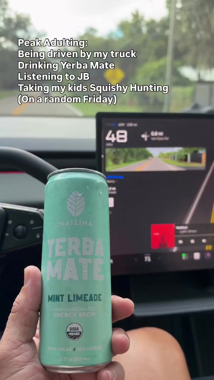 This is peak living #teslafsd #yerbamate #squishyhunting #justinbeiber