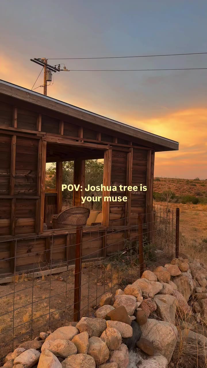 Our Winter Collection being inspired by Joshua Tree and all her magic☀️🌴✨
