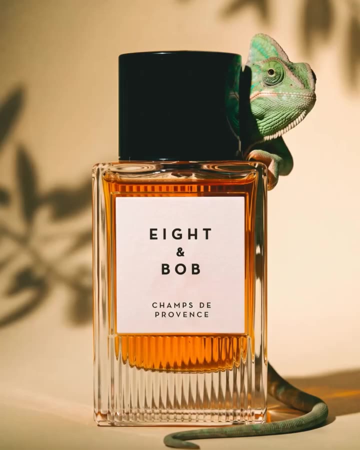 The chameleon transforms with its surroundings, revealing an unexpected…