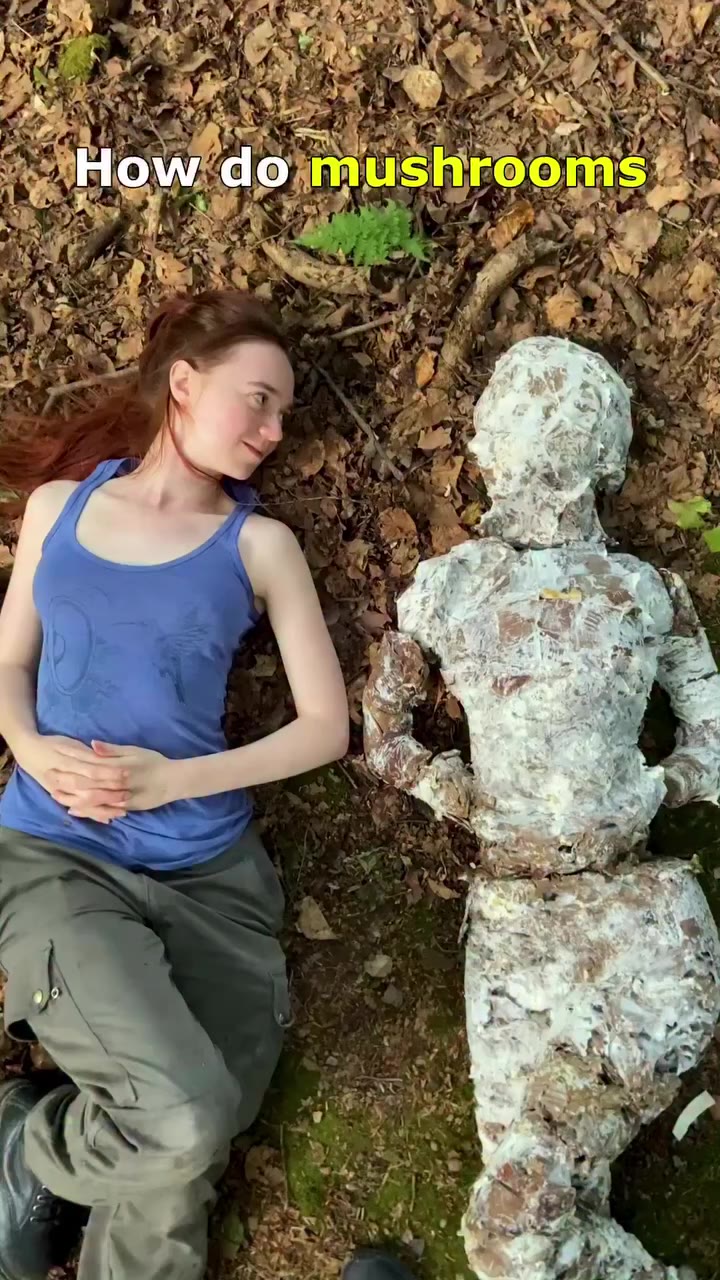 Letting mushrooms design themselves 🍄 Oyster mushroom ‘living statues’…