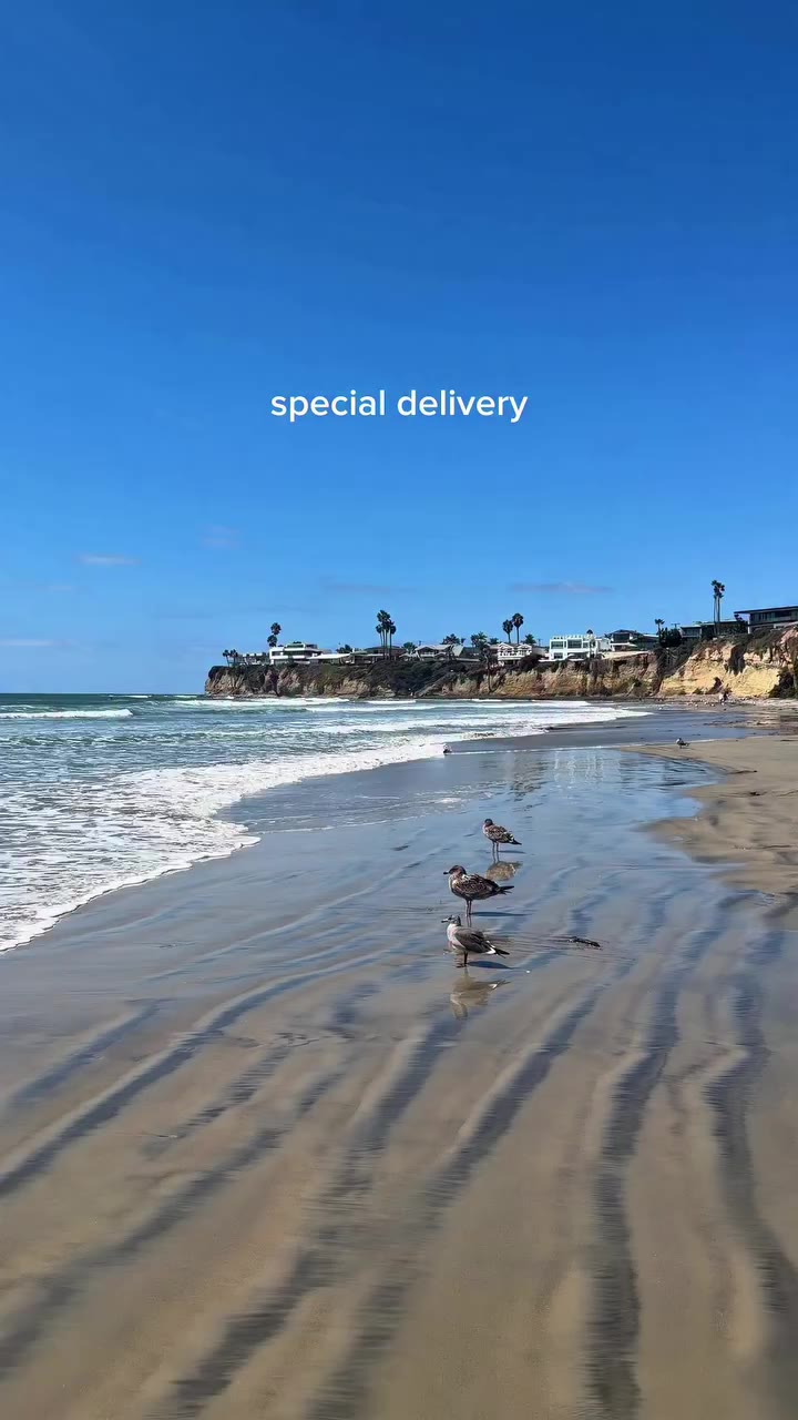 @boardandbrewsd ily