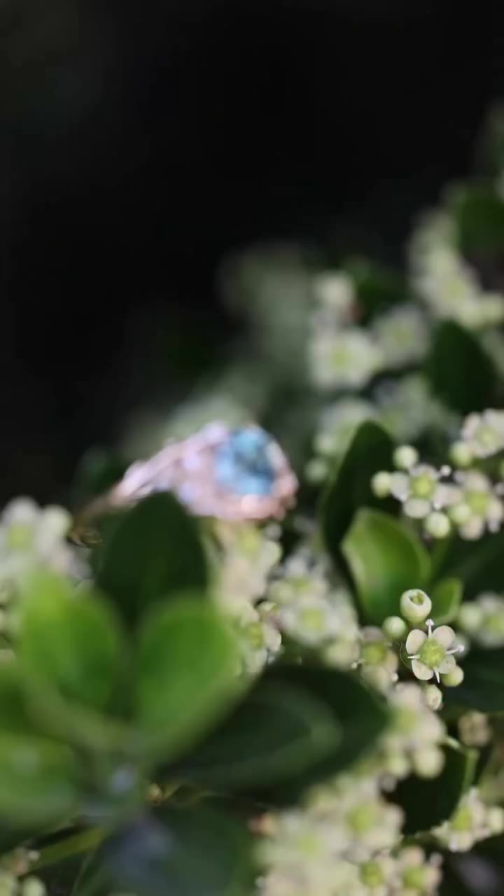 “𝒯𝒽𝑜𝓇𝓃𝑒” with Montana sapphire 🐝🍃 unique engagement ring • floral…