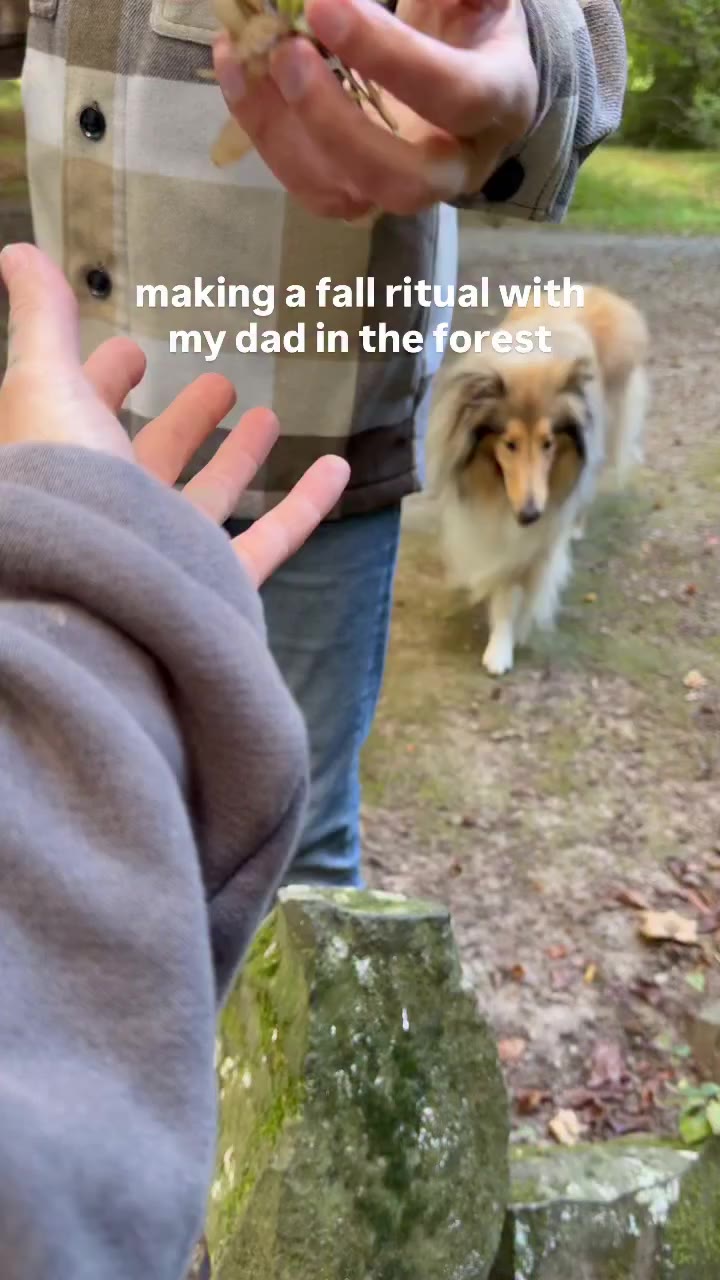 🍁 🍂 🍃