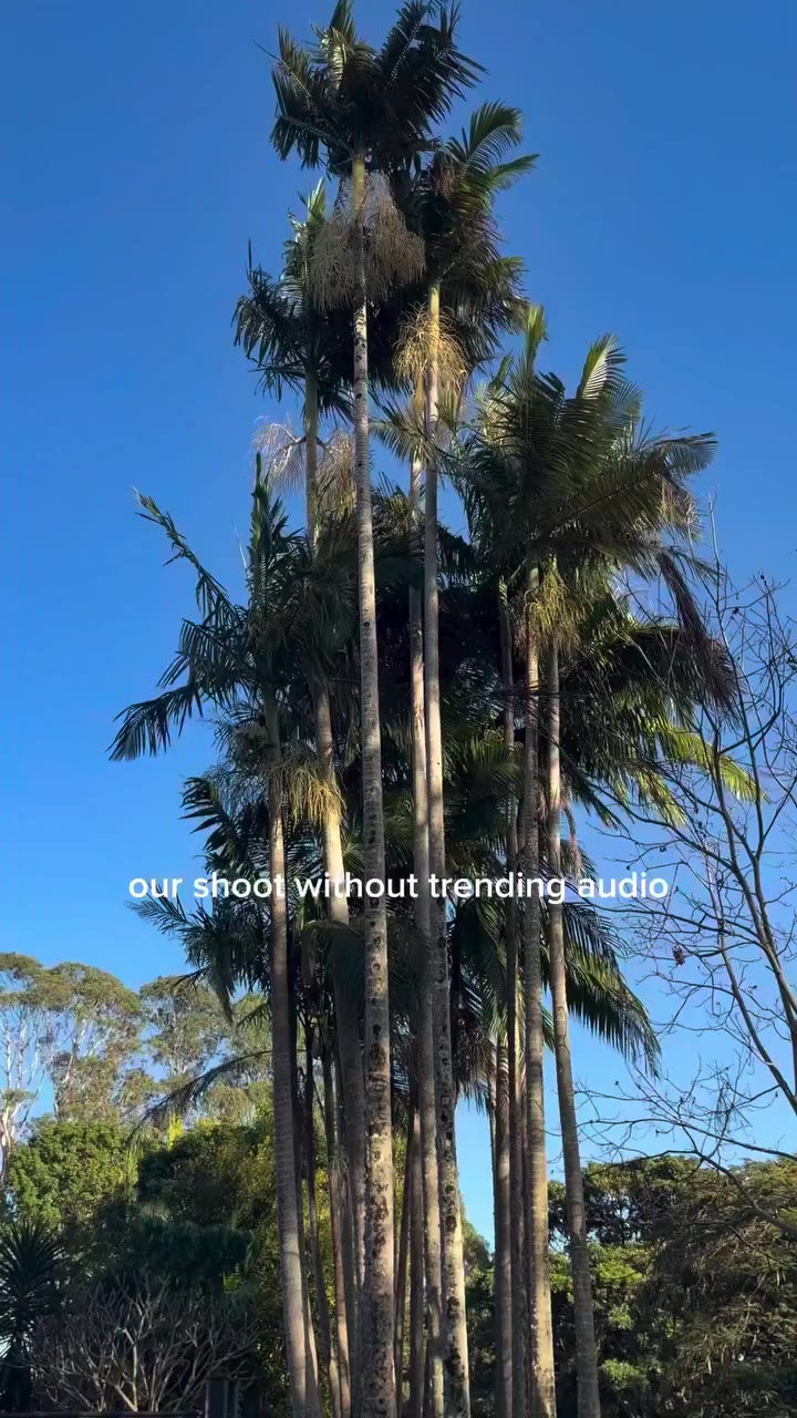 no trending audio needed 🌺🌊✨
