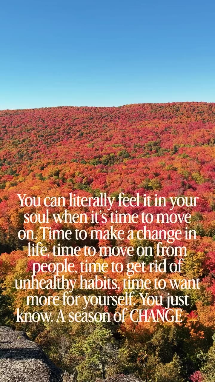 There’s something beautiful about realizing you’ve outgrown a version of your…