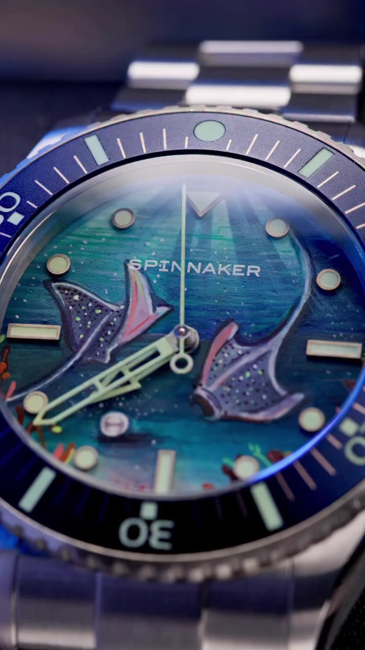 Wrist rolling the Spinnaker Spence Underwater Dancers. 🌊🐋🎨 Two manta rays…