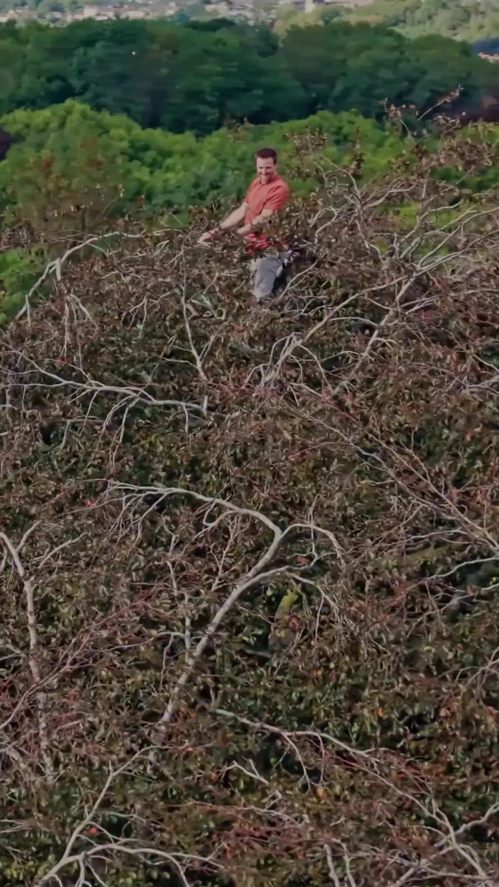 Apparently, climbing trees is perfectly normal when you’re a kid. But make it…