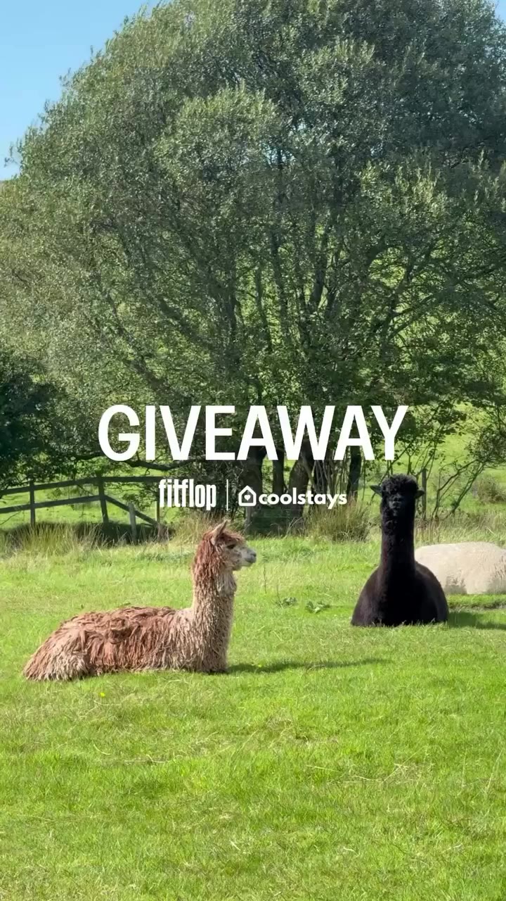 Our coolest giveaway yet? We think so. 👀🧳 If return to routine already has…